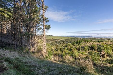 Photo of property in 1165c Cooks Tooth Road, Porangahau, 4293