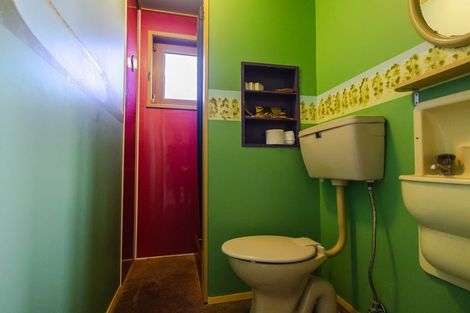 Photo of property in 99 The Strand, Okarito, Whataroa, 7886