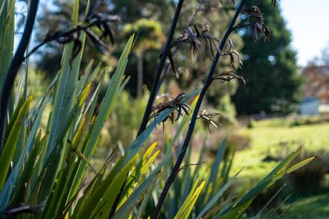 Photo of property in 36 Pensher Street, Waitahuna, Lawrence, 9593
