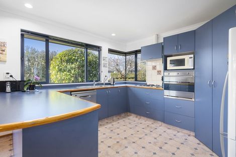 Photo of property in 17 Templemore Drive, Richmond, 7020