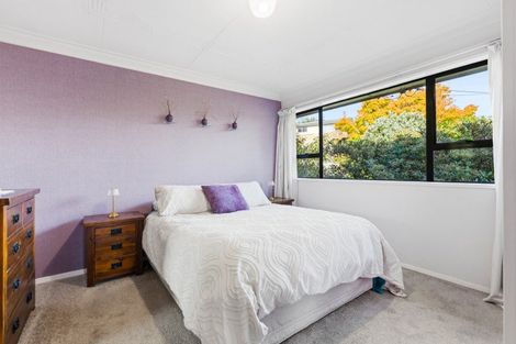 Photo of property in 61 Elwyn Crescent, Green Island, Dunedin, 9018