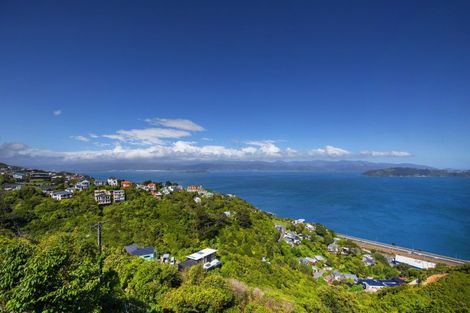 Photo of property in 118a Nicholson Road, Khandallah, Wellington, 6035