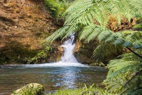 Photo of property in 135 Willoughby Road, Tahawai, Katikati, 3170