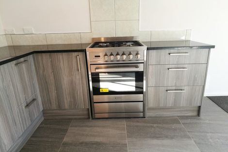 Photo of property in 8u6 Lyon Street, Frankton, Hamilton, 3204