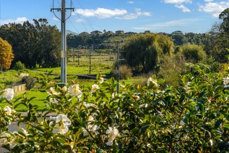 Photo of property in 26 Graham Place, Bellevue, Tauranga, 3110