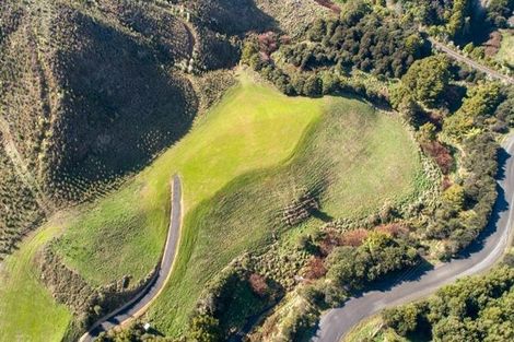 Photo of property in 48 Mick Dillon Road, Tahekeroa, Kaukapakapa, 0873