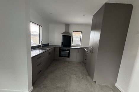 Photo of property in 83-85 Pitt Street, Palmerston North, 4410