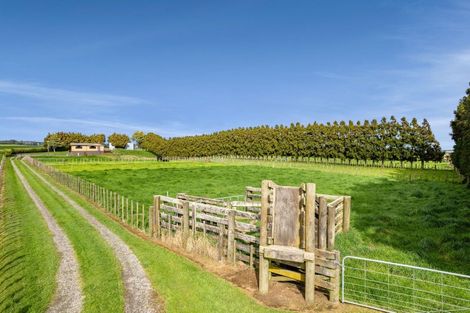 Photo of property in 302 Otaraoa Road, Motunui, Waitara, 4383