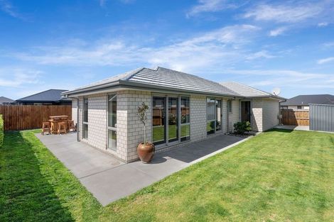 Photo of property in 29 Nicolau Avenue, Rolleston, 7615