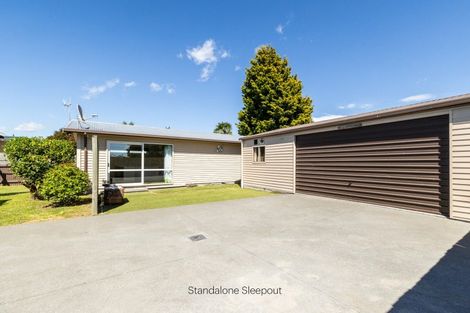 Photo of property in 803 Puriri Street, Raureka, Hastings, 4120