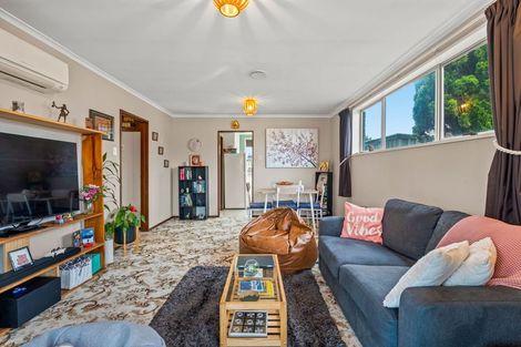 Photo of property in 133e Macandrew Road, South Dunedin, Dunedin, 9012
