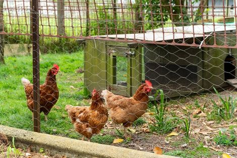 Photo of property in 6835 State Highway 12, Turiwiri, Dargaville, 0374