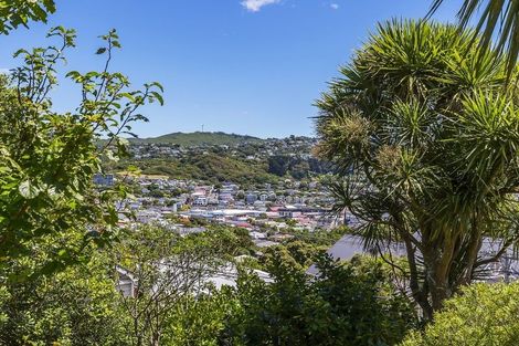 Photo of property in 143 Coromandel Street, Newtown, Wellington, 6021