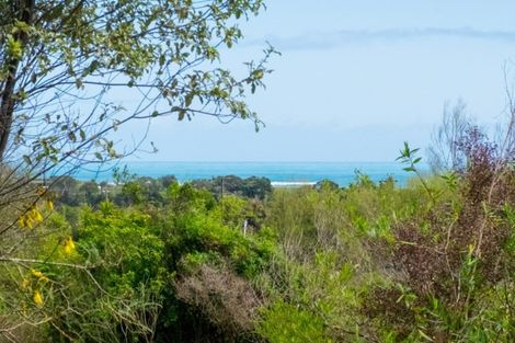 Photo of property in 28 Nikau Heights, Little Wanganui, Karamea, 7893