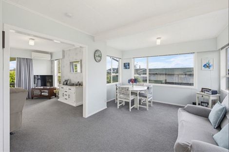 Photo of property in 24 Featherston Street, Levin, 5510