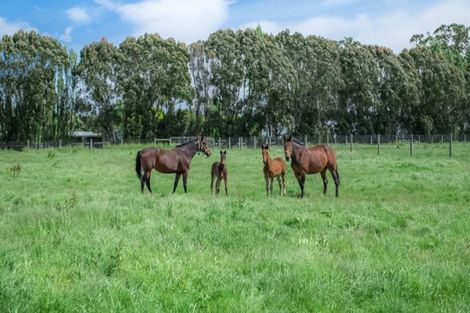 Photo of property in 816 Springs Road, Prebbleton, Christchurch, 7676