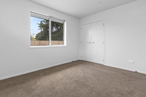Photo of property in 41u2 Ross Crescent, Fairfield, Hamilton, 3214