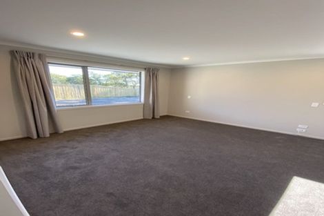 Photo of property in 17 Oakdale Grove, Richmond, 7020