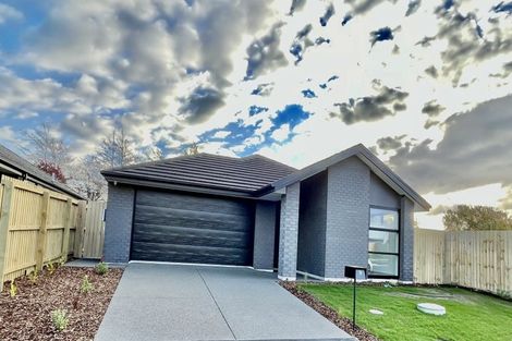 Photo of property in 24 Pitcaithly Street, Halswell, Christchurch, 8025