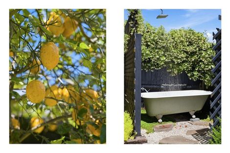 Photo of property in 17a Claridge Place, Mount Maunganui, 3116