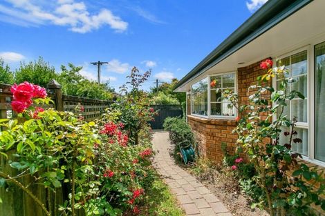 Photo of property in 58 Princes Street, Cambridge, 3434