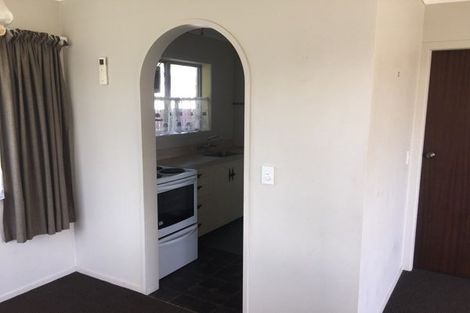 Photo of property in 47 Rimu Street, Maeroa, Hamilton, 3200