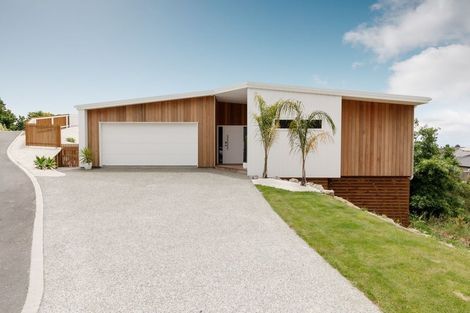 Photo of property in 63 Hart Road, Richmond, 7020