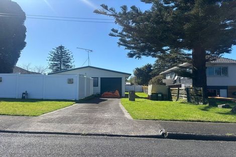 Photo of property in 3 Shepherds Road, Papakura, 2110