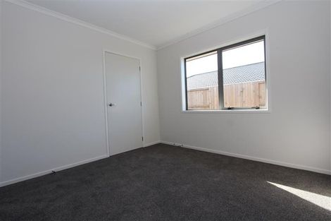Photo of property in 45 Lulu Avenue, Chartwell, Hamilton, 3210