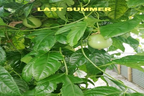 Photo of property in 22 Ferry Street, Wyndham, 9831