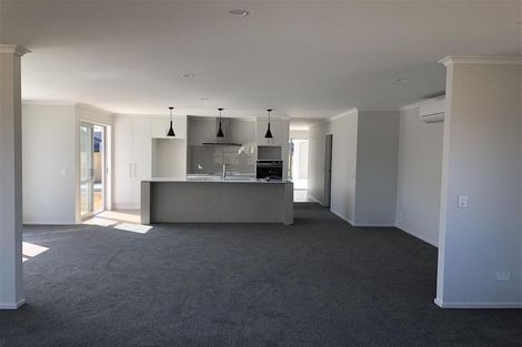 Photo of property in 20 Malone Crescent, Richmond, 7020