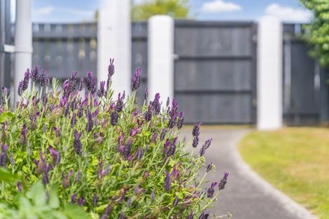 Photo of property in 55 Hawai Street, Two Mile Bay, Taupo, 3330
