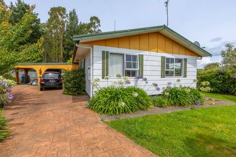 Photo of property in 21 Holt Place, Waipukurau, 4200