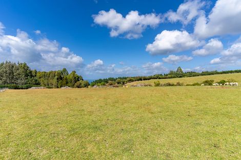 Photo of property in 200 Mcmaster Road, Saddle Hill, Dunedin, 9076