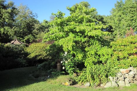 Photo of property in 101 Main North Road, Geraldine, 7930