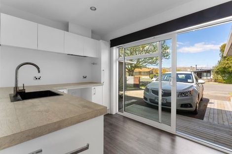 Photo of property in 52a Dillon Street, Blenheim, 7201