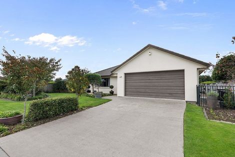 Photo of property in 11 Saffron Street, Cambridge, 3434