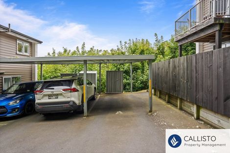 Photo of property in 66a Maclaggan Street, Dunedin Central, Dunedin, 9016