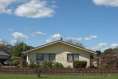 Photo of property in 44 Bailey Street, Huntly, 3700