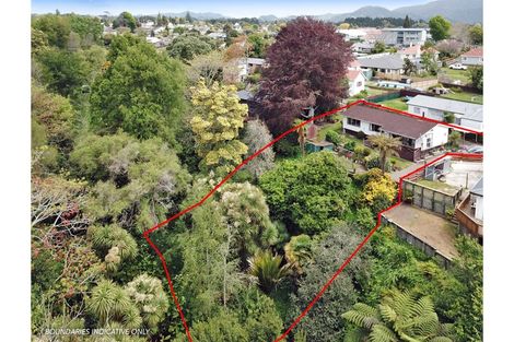 Photo of property in 9 Mountbatten Place, Te Puke, 3119
