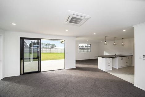 Photo of property in 12 Biron Place, Stratford, 4332