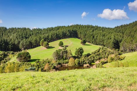 Photo of property in 923 Puketona Road, Haruru, Kerikeri, 0293
