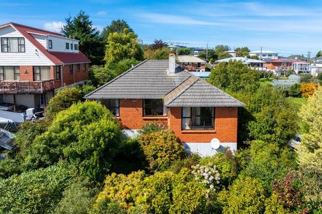 Photo of property in 90 Hillary Street, Liberton, Dunedin, 9010