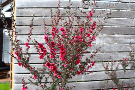 Photo of property in 121 Tapu Road, Huapai, Kumeu, 0810