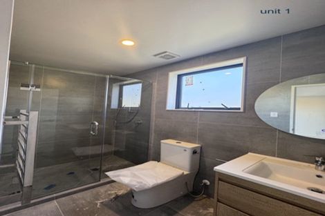 Photo of property in 45 Miro Street, New Lynn, Auckland, 0600
