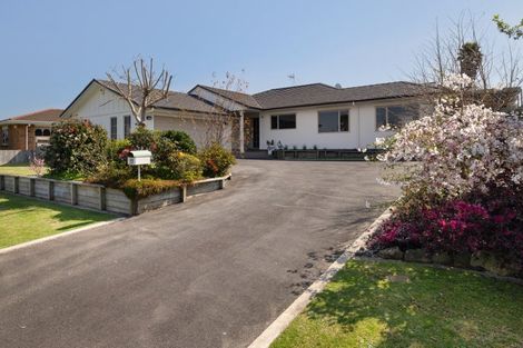 Photo of property in 60 Plateau Heights, Mount Maunganui, 3116