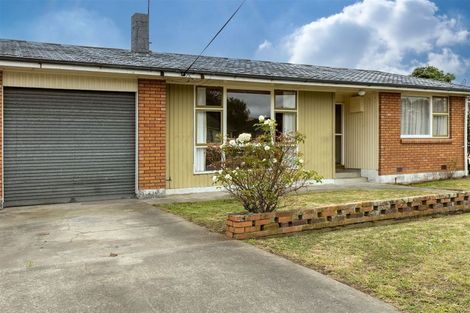 Photo of property in 25 Graham Street, Blenheim, 7201