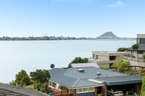 Photo of property in 284 Maungatapu Road, Maungatapu, Tauranga, 3112