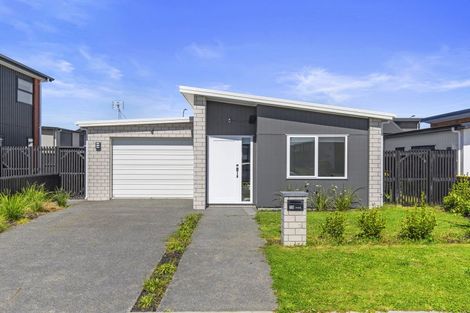 Photo of property in 19 Ogilvie Avenue, Chartwell, Hamilton, 3210