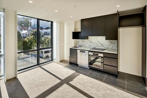 Photo of property in 212 Willis Street, Te Aro, Wellington, 6011